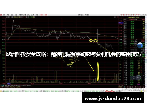 欧洲杯投资全攻略：精准把握赛事动态与获利机会的实用技巧