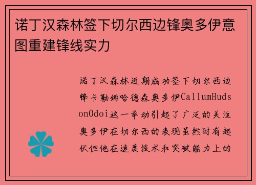 诺丁汉森林签下切尔西边锋奥多伊意图重建锋线实力 诺丁汉森林签下切尔西边锋奥多伊意图重建锋线实力